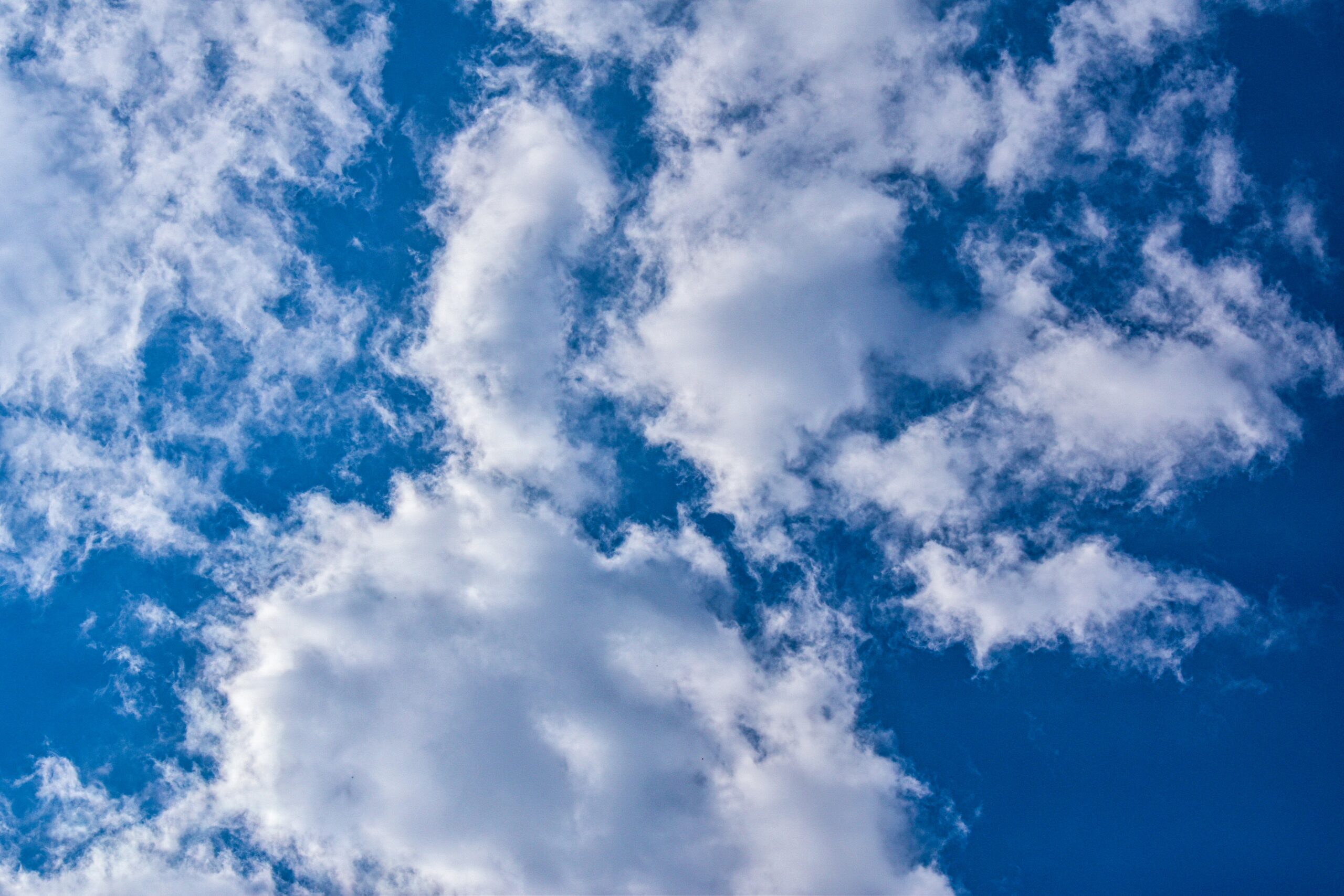 chandan-chaurasia-LRtMM-aJX1s-unsplash