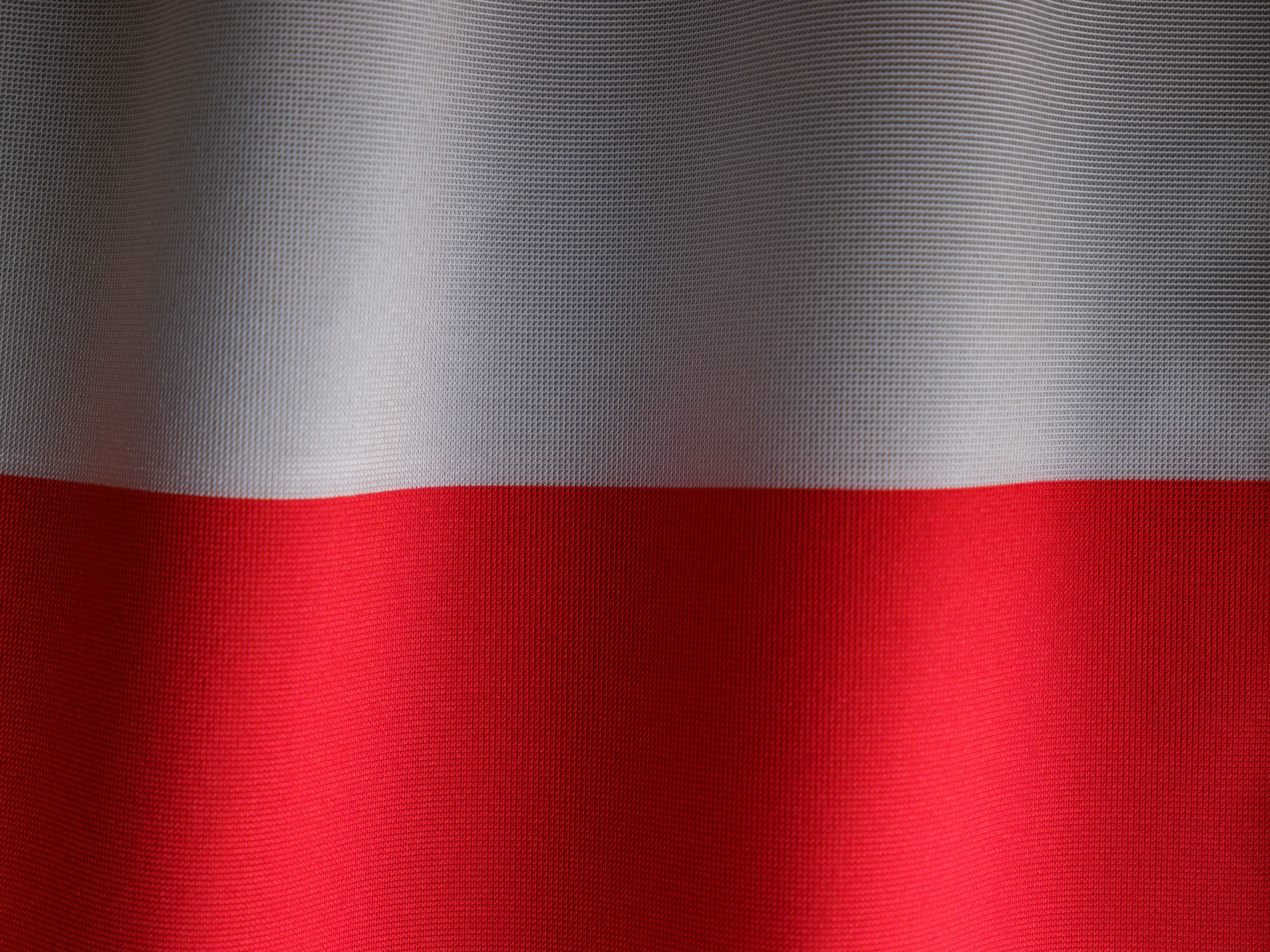 engin-akyurt-VgH6z1zco6s-unsplash