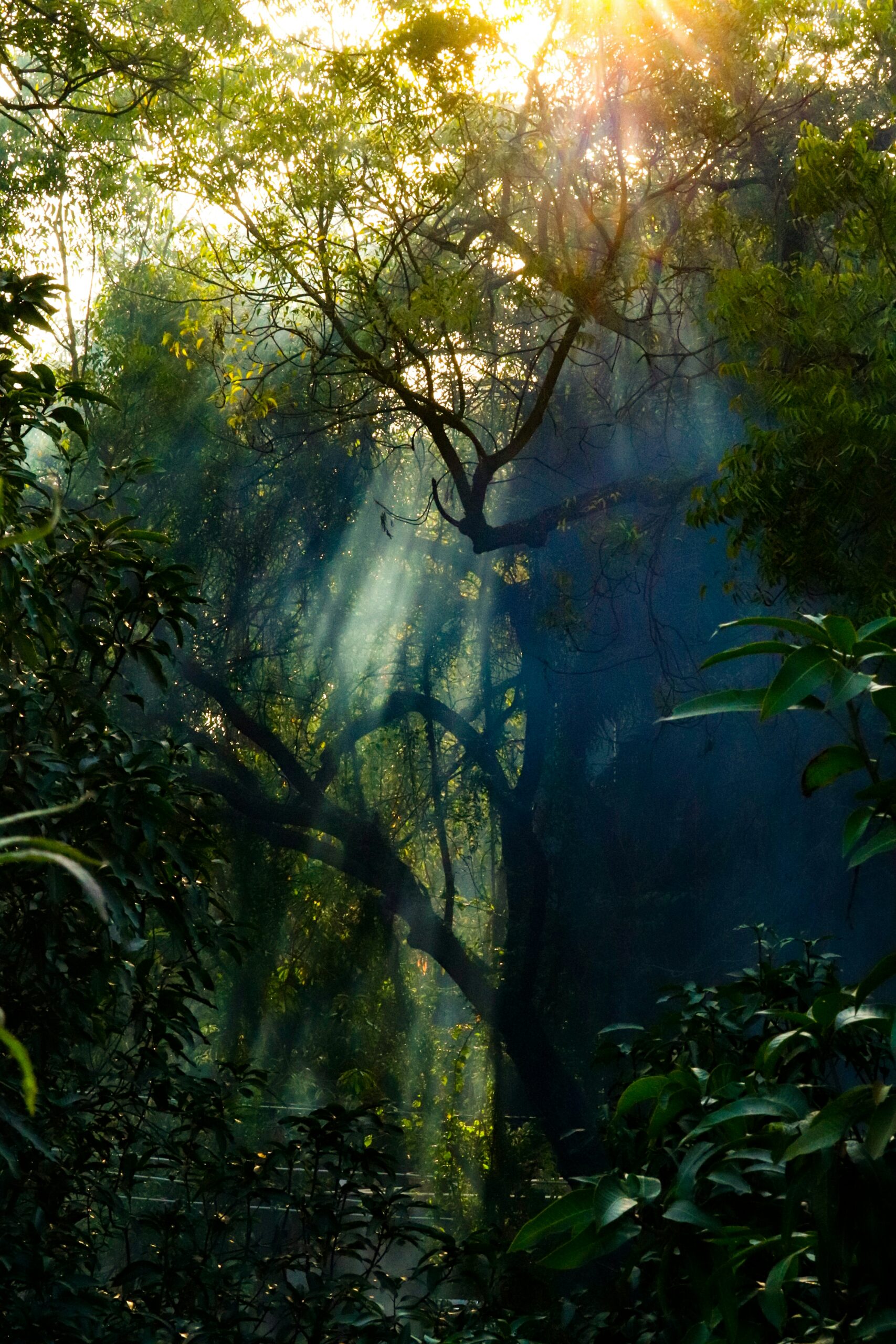 ish-consul-85tRXIzYiIs-unsplash